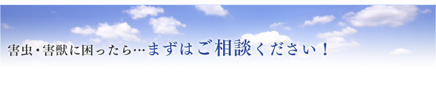 害虫・害獣に困ったら・・・まずはご相談ください！