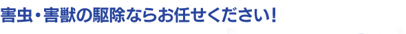 害虫・害獣の駆除ならお任せください！