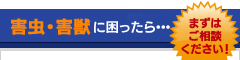 害虫・害獣に困ったら・・・まずはご相談ください！